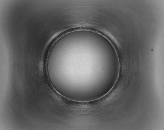 X0000115760975200911201155