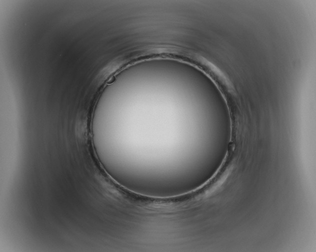 X0000115760977200911201155