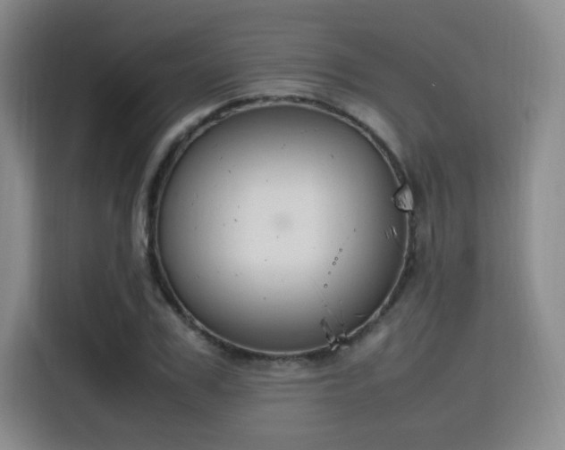 X0000115760979200911201155