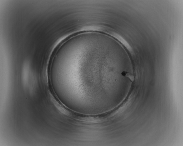 X0000115760980200911201155