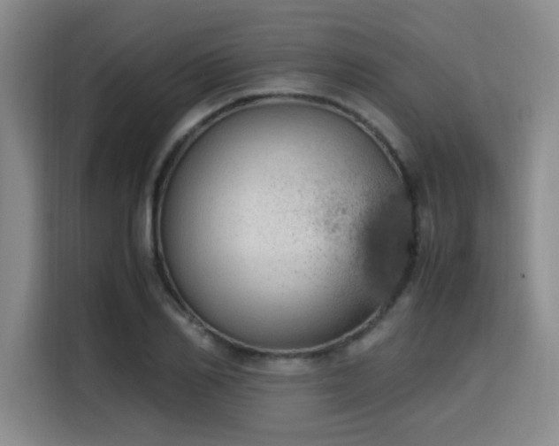 X0000115760982200911201155