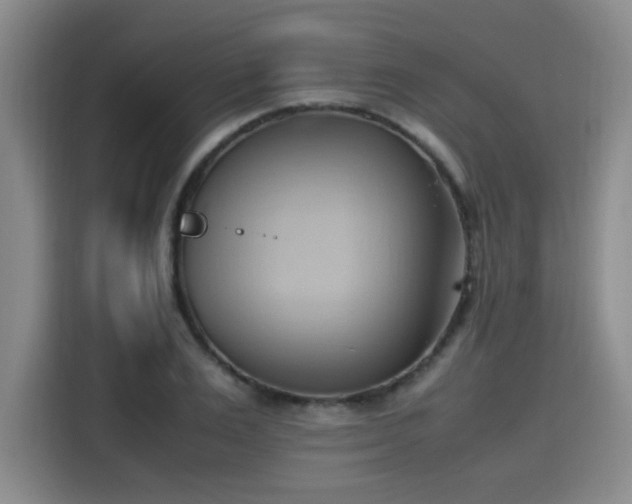 X0000115760983200911201155