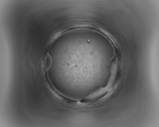 X0000115760985200911201155