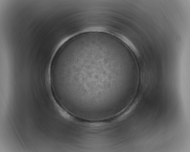 X0000115760988200911201155