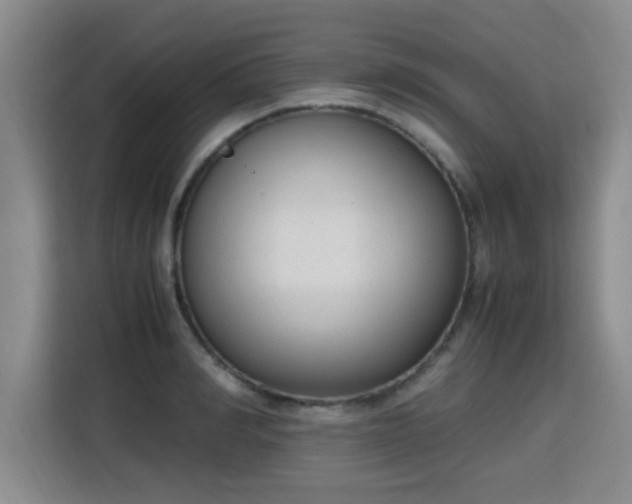X0000115760990200911201154