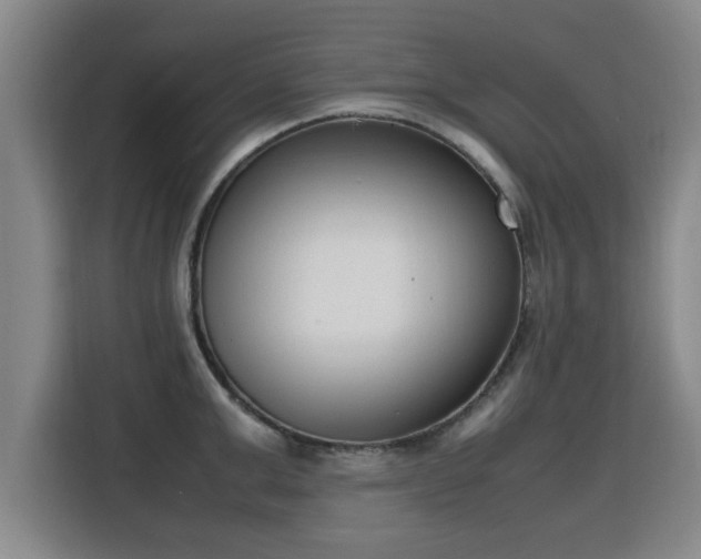 X0000115760999200911201154