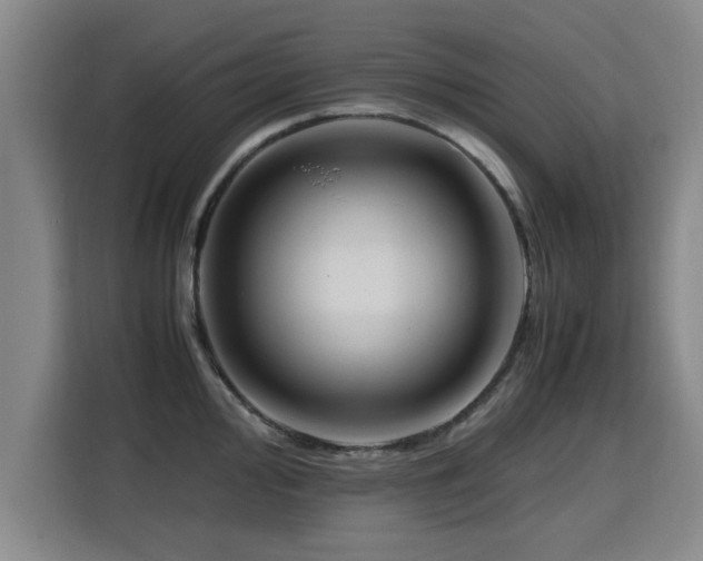 X0000115761000200911201154