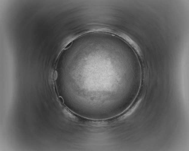 X0000115761001200911201154