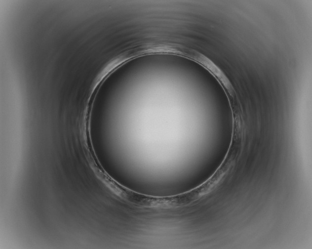 X0000115761002200911201154