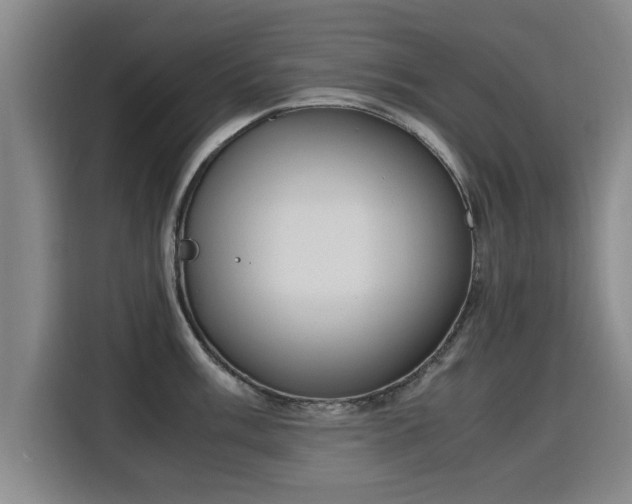 X0000115761003200911201154
