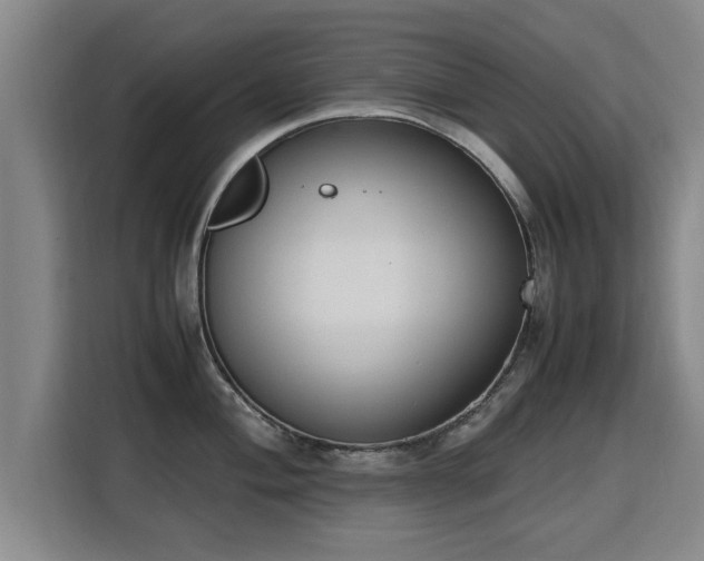 X0000115761004200911201154