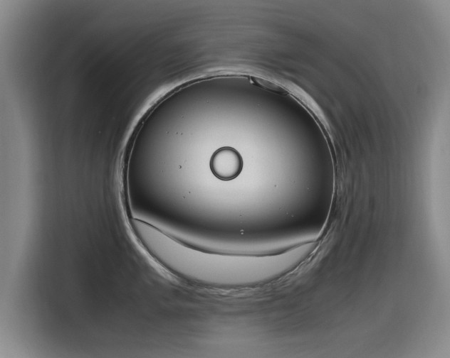 X0000115761005200911201154