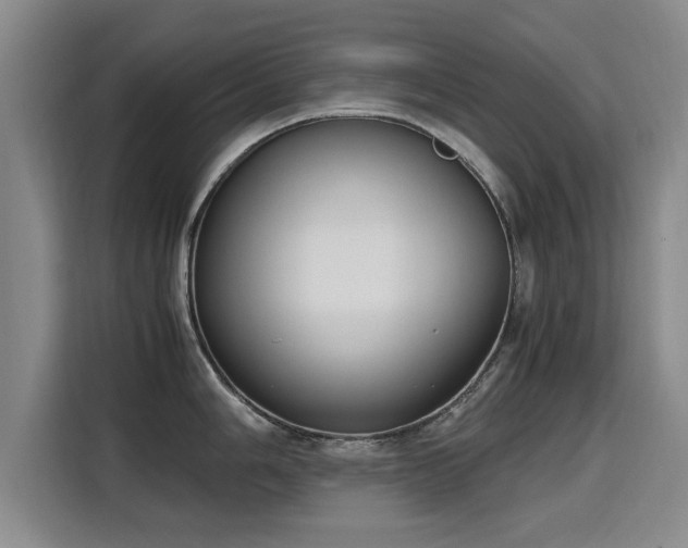 X0000115761006200911201154
