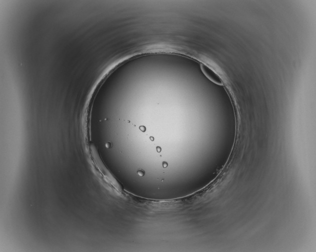 X0000115761008200911201154