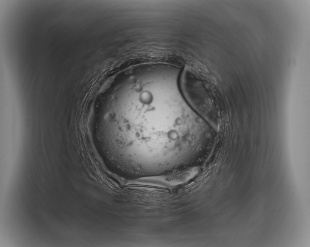 X0000115761009200911201154