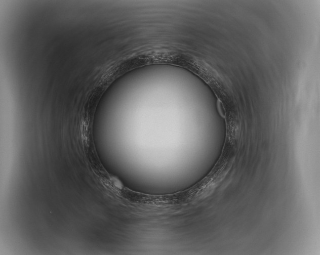 X0000115761010200911201154