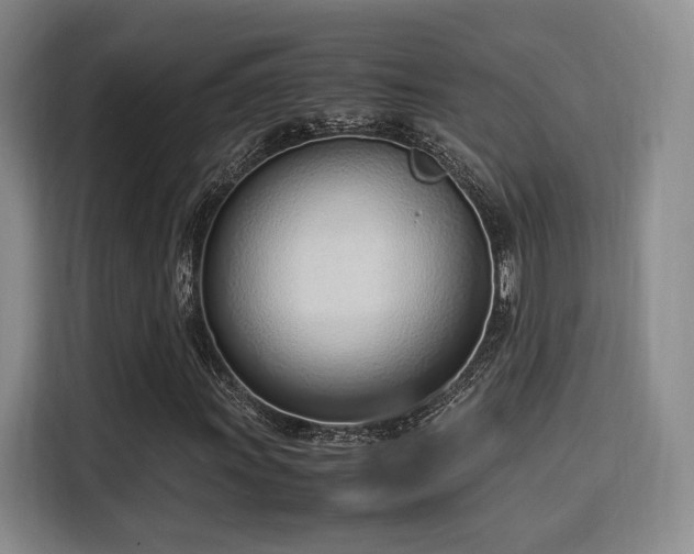 X0000115761011200911201154