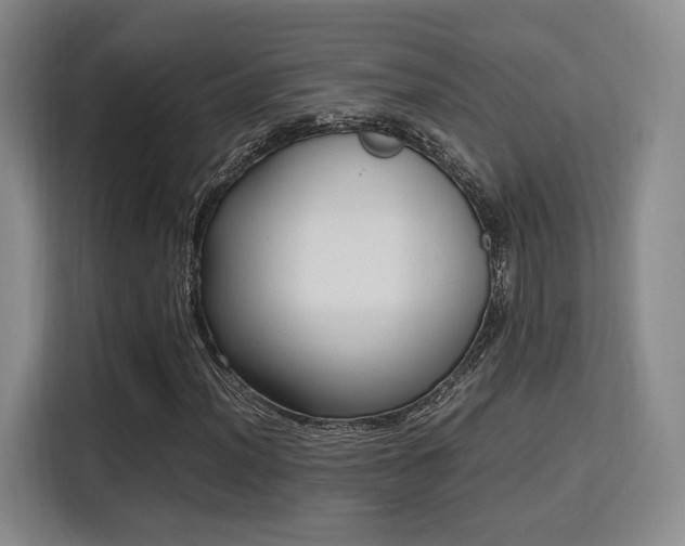 X0000115761012200911201154