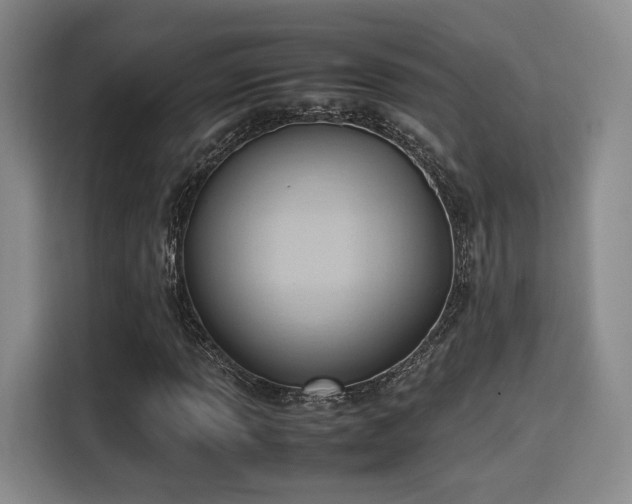 X0000115761013200911201154
