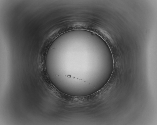 X0000115761015200911201154