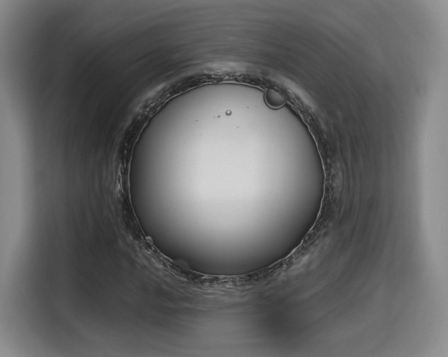 X0000115761016200911201154