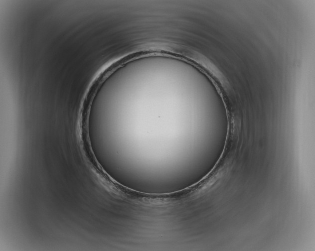 X0000115761020200911201154