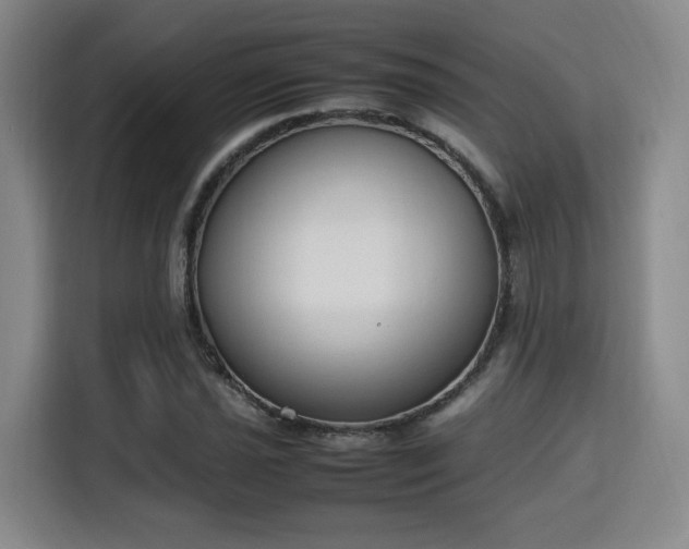 X0000115761021200911201154