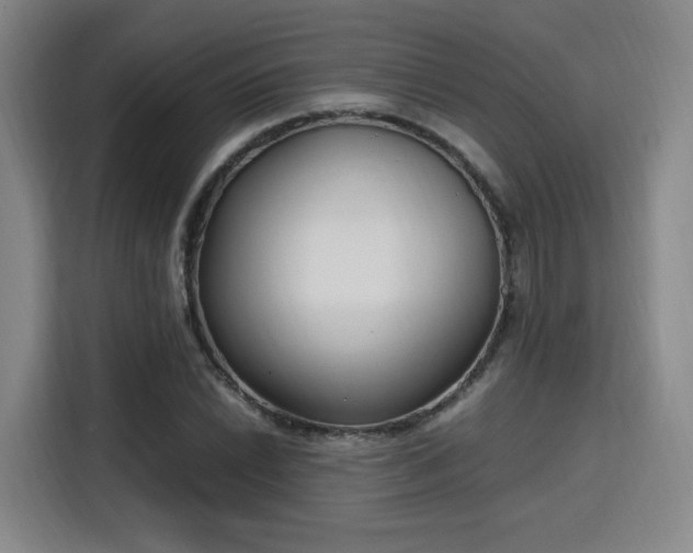 X0000115761022200911201154
