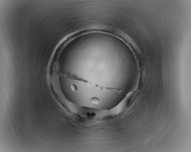 X0000115761024200911201154
