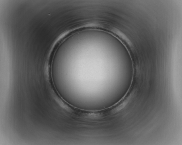 X0000115761029200911201154