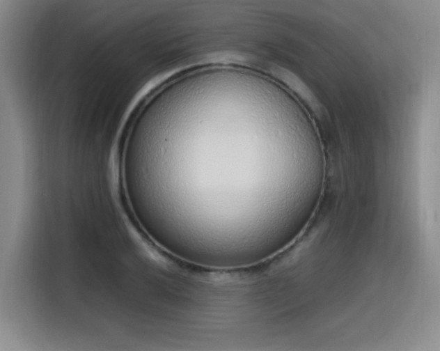 X0000115761032200911201154