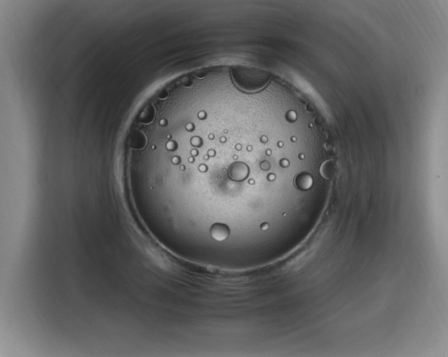 X0000115761035200911201154