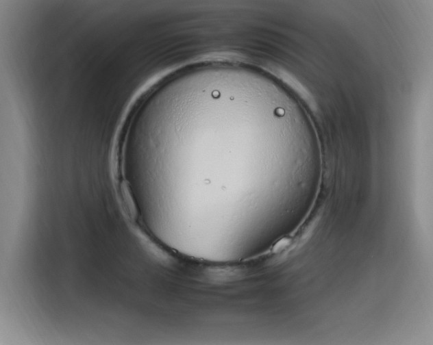X0000115761037200911201154