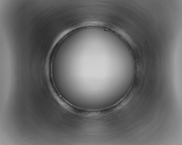X0000115761038200911201154