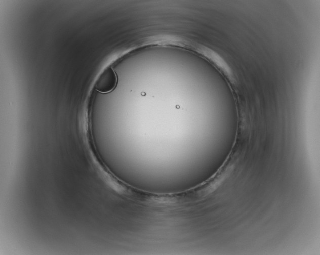 X0000115761040200911201154