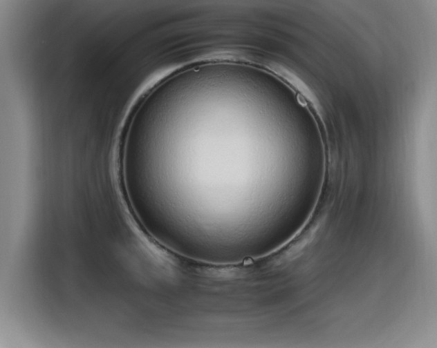 X0000115761045200911201154