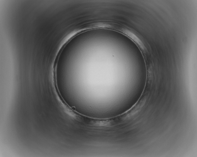 X0000115761047200911201154