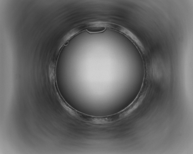 X0000115761049200911201154