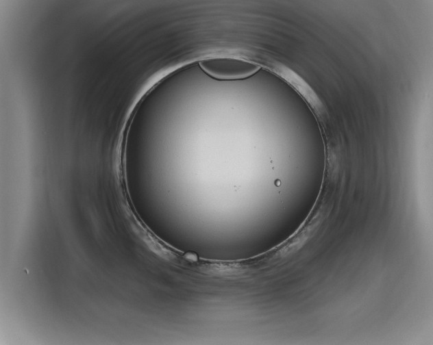 X0000115761052200911201154