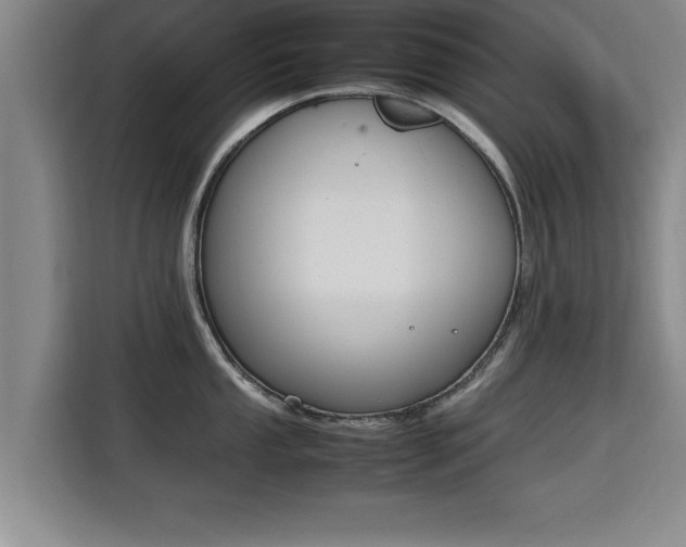 X0000115761053200911201154