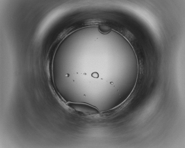 X0000115761054200911201154