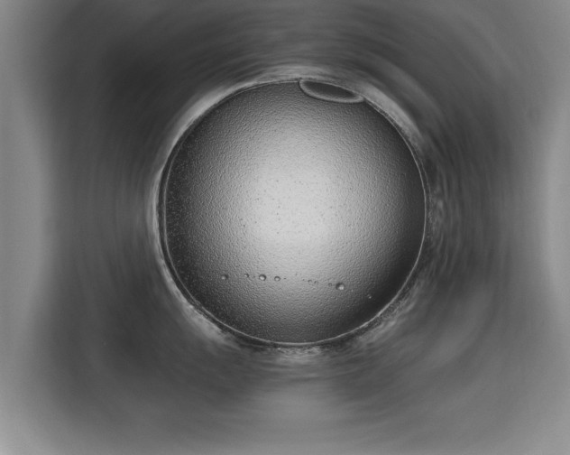 X0000115761055200911201154