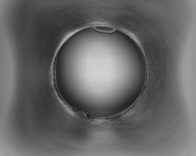 X0000115761056200911201154