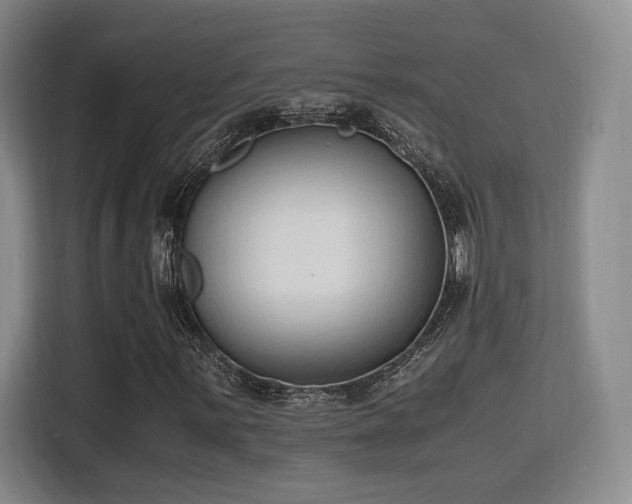 X0000115761059200911201154