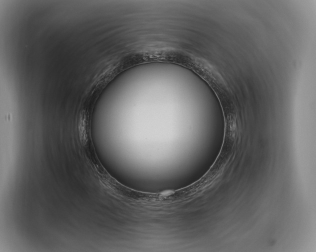 X0000115761060200911201154