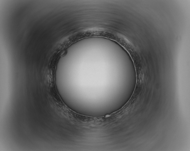 X0000115761062200911201154