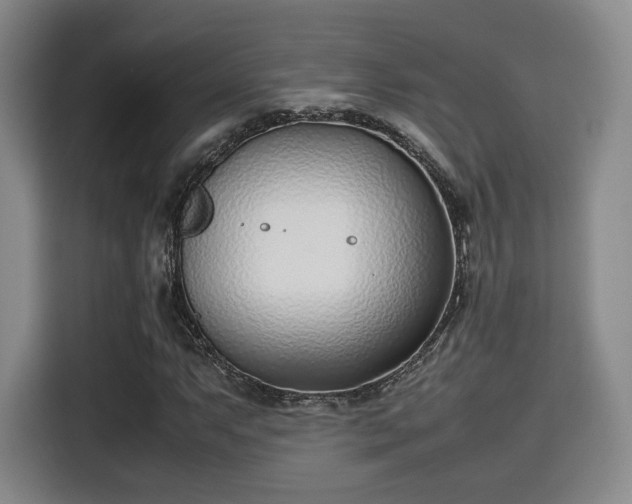 X0000115761063200911201154