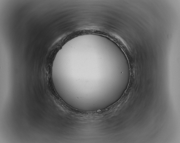 X0000115761064200911201154