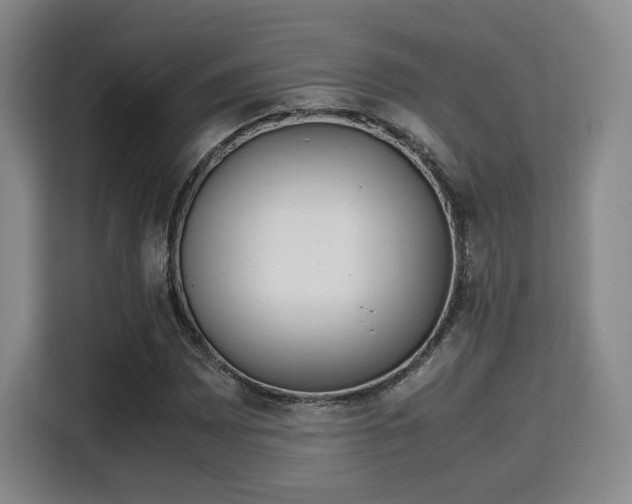 X0000115761065200911201154