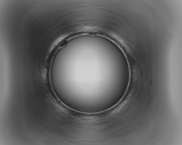 X0000115761066200911201153